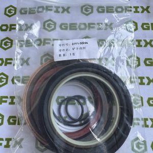 31Y1-30290 Комплект уплотнений/Repair kit